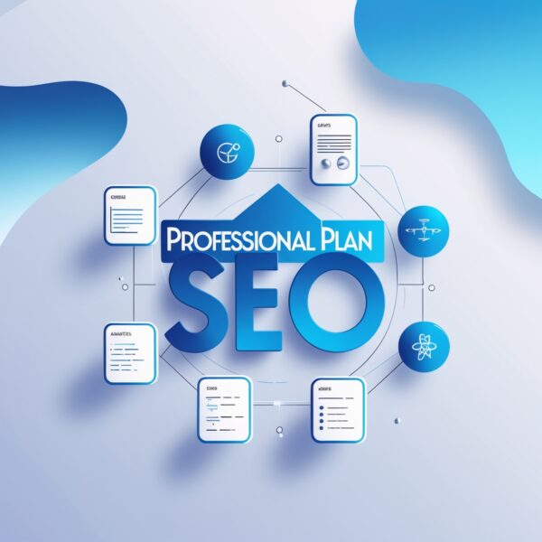 Professional Plan SEO